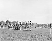 LbG357-52.JPG