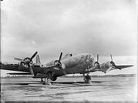 WhG348-42_1.JPG