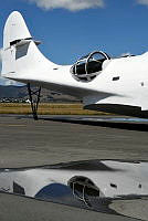MUS21057.JPG