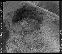 GisG879-A70.JPG