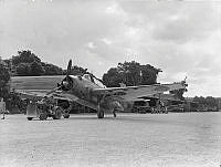 PR3233.JPG