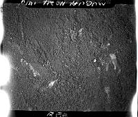 2012-222.209.jpg