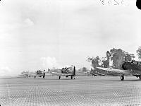 PR3258.JPG