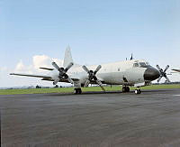 Ak3554-96.JPG