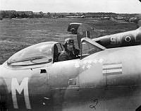 ALB198236513007.jpg