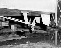 WhG10325-56.JPG