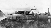 ALB873251057.jpg