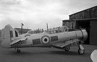 DWNZ1082b_1_1.jpg