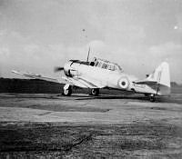 DWNZ1082f_1_1.jpg