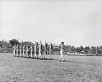 LbG358-52.JPG