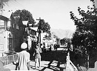 ALB1919010285.JPG