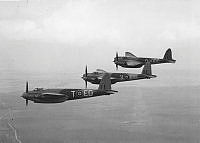 MUS980439.jpg
