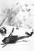 MUS1200217.jpg