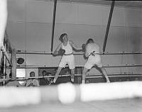 DM79-51.jpg