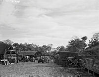 PR2334.jpg