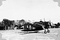 ALB1919010069.JPG