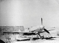 MUS0901414.jpg
