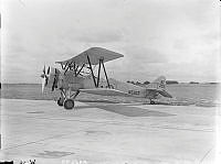 OhG98-41_1.JPG