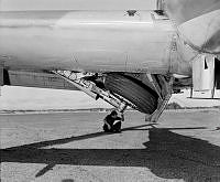 OhG1885-82.JPG