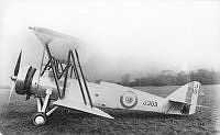 MUS0701314.jpg