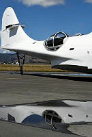 MUS21057.JPG