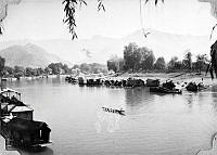 ALB1919010284.JPG