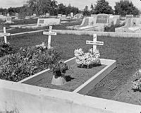 GisG690.JPG