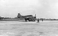 ALB191751005.jpg