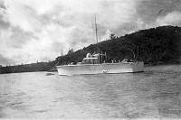 ALB2604117063.jpg