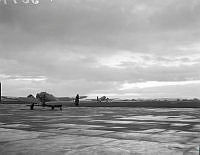 PR3079_1.JPG