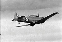 DWNZ1082e_1_1.jpg
