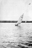 ALB2604117054.jpg