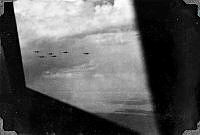 ALB191909180.JPG