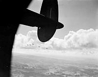 PR2601.JPG