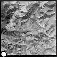 NZAMTin138frame1348.jpg