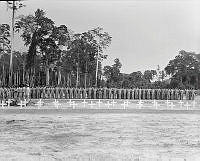 PR5012a.jpg