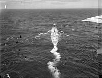 WhG4823-62.JPG