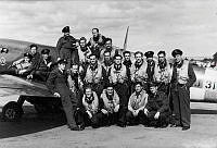 MUS95180.jpg