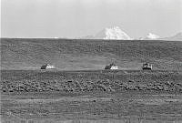 WgG262-90-85.jpg