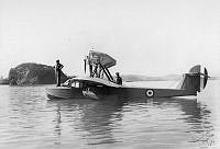 ALB862456061.jpg