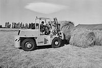 WgG492-5a-79.JPG