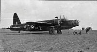 ALB0224349143.JPG