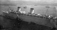 ALB2511328007.jpg