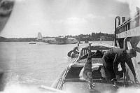 ALB2604117012.jpg