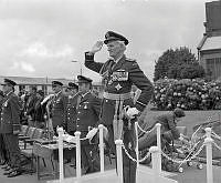 WgG547-3-82.jpg