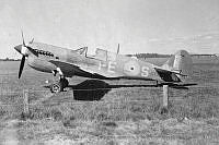 DWNZ3256.jpg