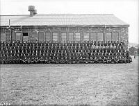 WhG646-43_1.JPG