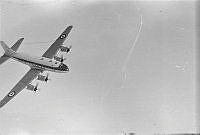 PRS233-14a.JPG