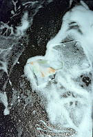 Oh178-10-00.JPG