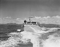 PR2478.jpg